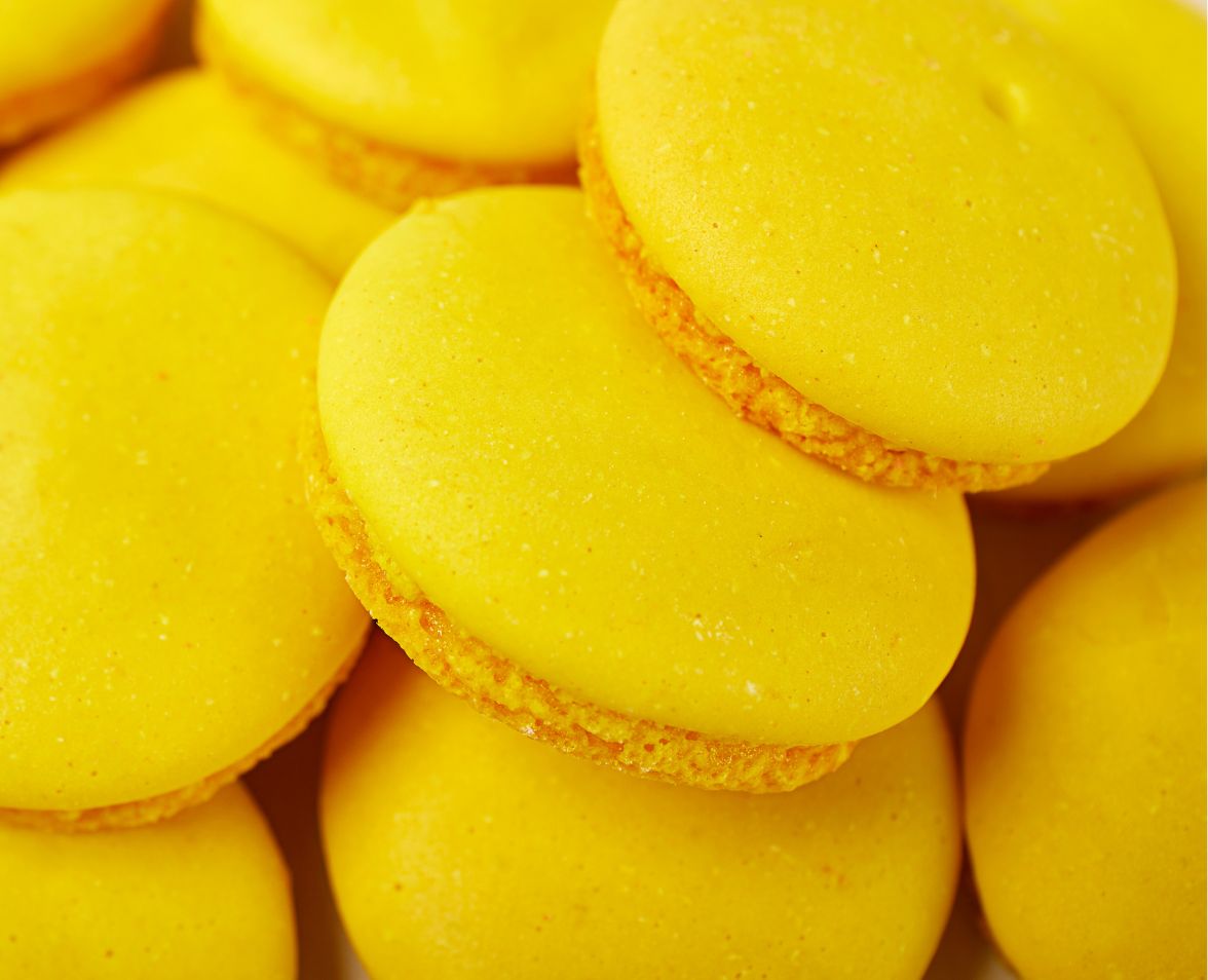 promotion-macaron-wolfberger-gastronomie-professionnel
