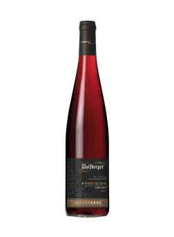 Pinot Noir Caracterre - Roche Calcaire 75cl