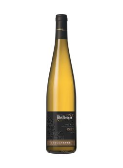 Sylvaner Caracterre Schiste 75cl