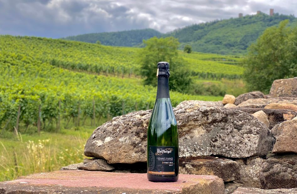 cremant-de-specialite-wolfberger-professionnel-restaurateur-pinot-gris cremant-de-specialite-wolfberger-professionnel-restaurateur-pinot-gris