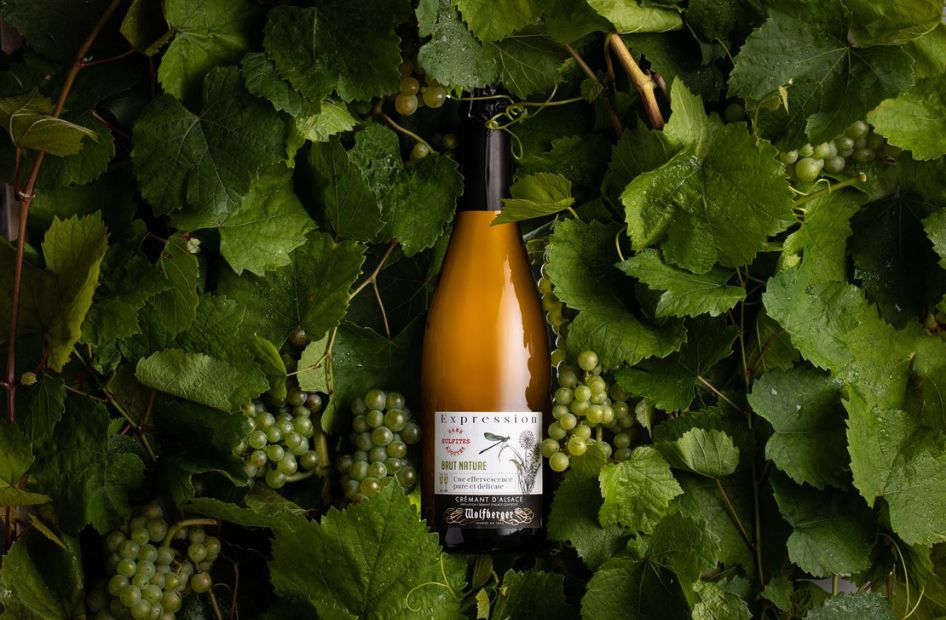 cremant-de-specialite-wolfberger-professionnel-restaurateur-sans-sulfites-ajoutes cremant-de-specialite-wolfberger-professionnel-restaurateur-sans-sulfites-ajoutes