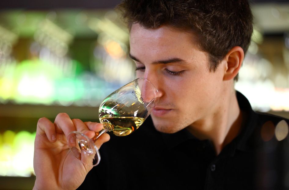 edelzwicker-assemblage-vin-blanc-alsace-wolfberger edelzwicker-assemblage-vin-blanc-alsace-wolfberger