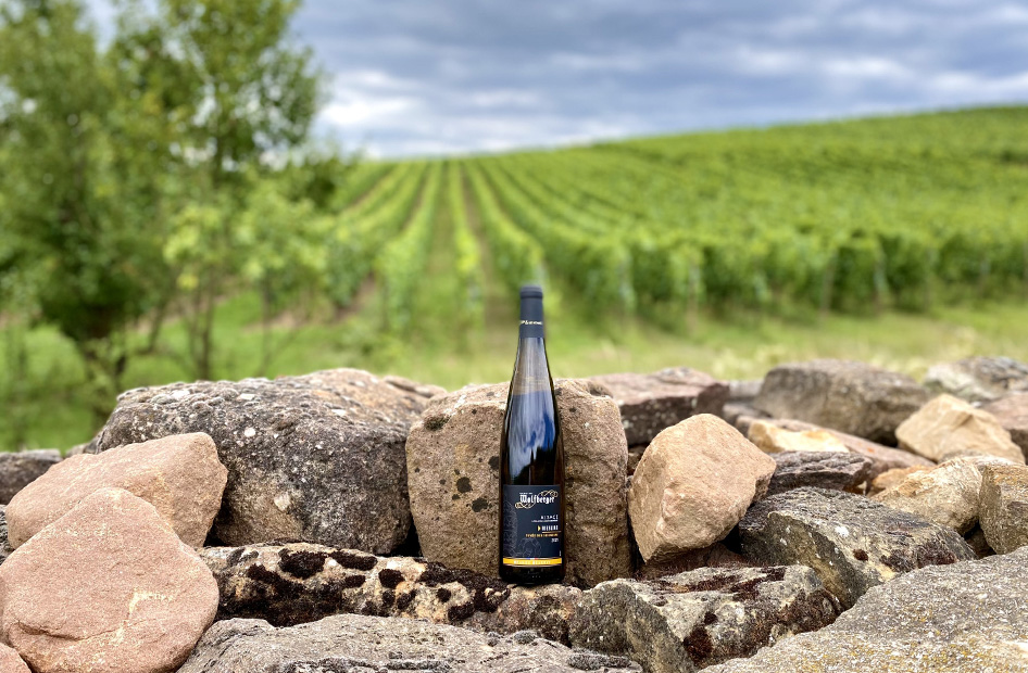 gammes-vins-alsace-wolfberger-cuvee gammes-vins-alsace-wolfberger-cuvee