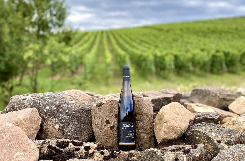 grande-reserve-wolfberger-riesling grande-reserve-wolfberger-riesling