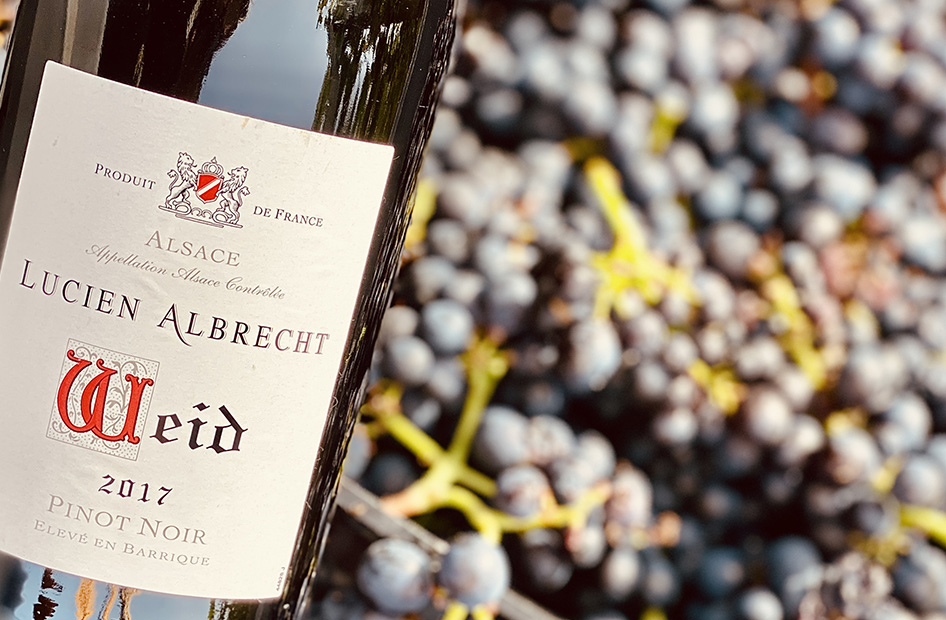 grands-vins-rouge-bouteille-raisin grands-vins-rouge-bouteille-raisin