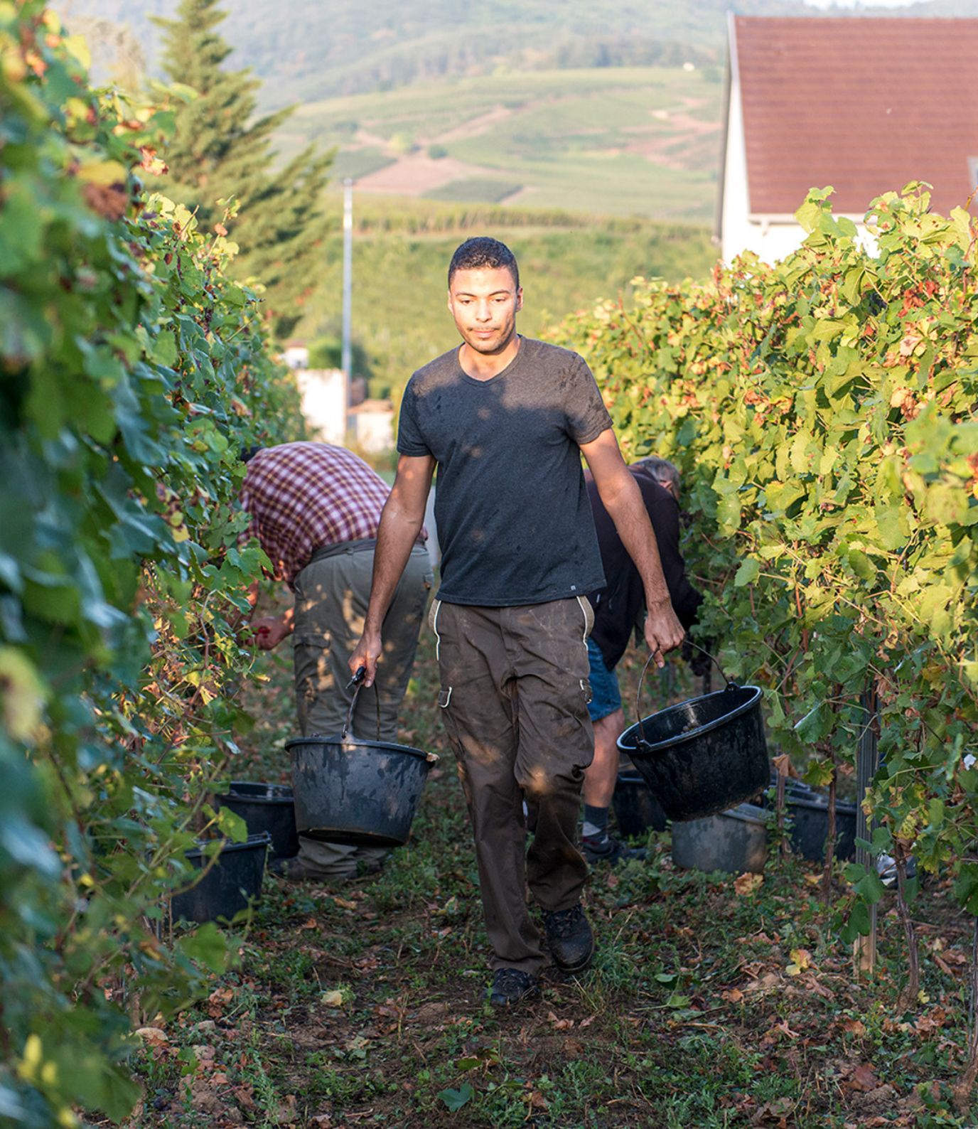 livraison-information-conditions-wolfberger-france livraison-information-conditions-wolfberger-france