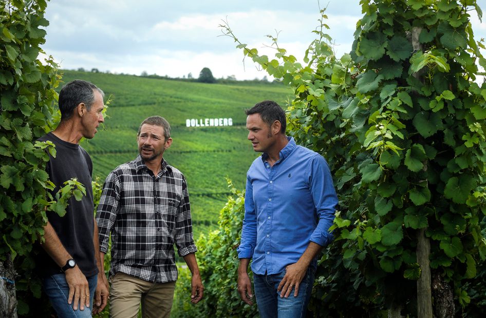lucien-albrecht-professionnel-vin-blanc-alsace-vignerons lucien-albrecht-professionnel-vin-blanc-alsace-vignerons