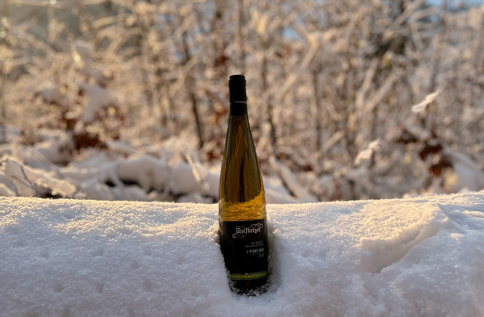 pinot-gris-wolfberger-bouteille pinot-gris-wolfberger-bouteille