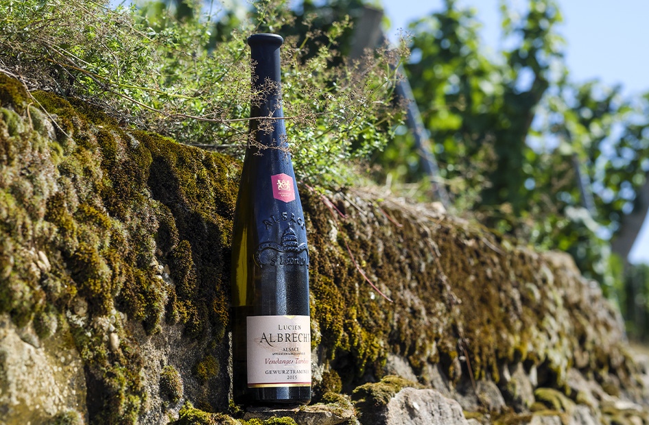 vendanges-tardives-lucien-albrecht-bouteille-vignes vendanges-tardives-lucien-albrecht-bouteille-vignes