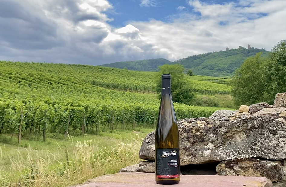 vieilles-vignes-wolfberger-pinot-gris vieilles-vignes-wolfberger-pinot-gris