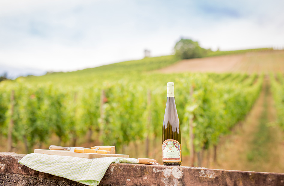 vins-clos-gaensbroennel-bouteille-vignoble vins-clos-gaensbroennel-bouteille-vignoble