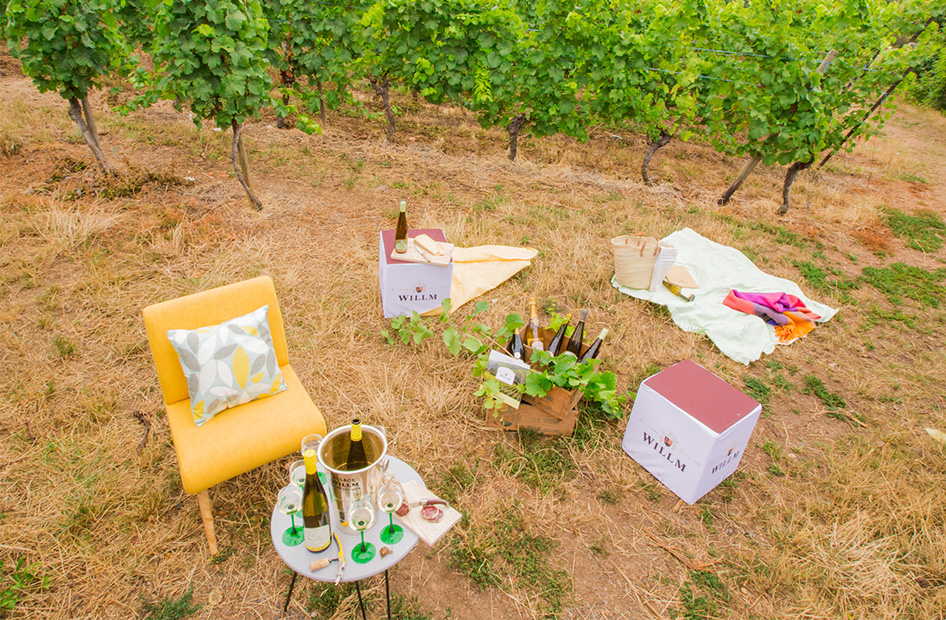 vins-gamme-litre-willm-bouteilles vins-gamme-litre-willm-bouteilles