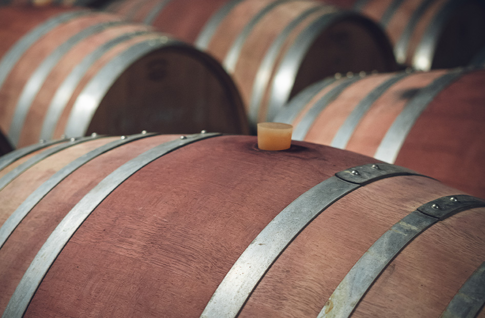 vins-lina-bio-willm-barriques vins-lina-bio-willm-barriques