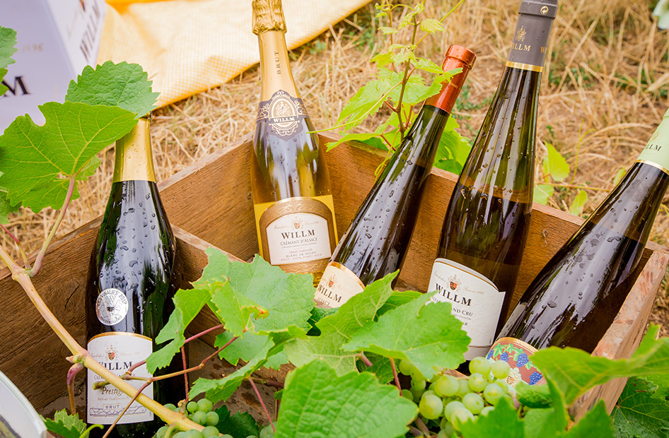 vins-lina-bio-willm-bouteilles vins-lina-bio-willm-bouteilles