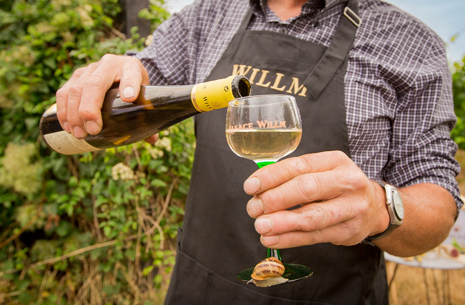 vins-lina-bio-willm-service vins-lina-bio-willm-service