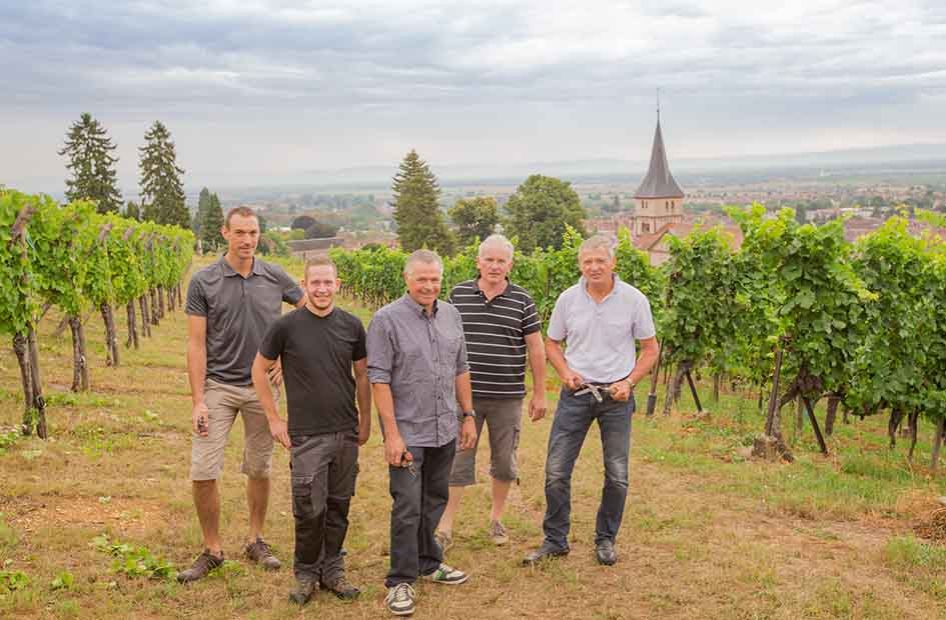 willm-vin-blanc-alsace-vignerons willm-vin-blanc-alsace-vignerons